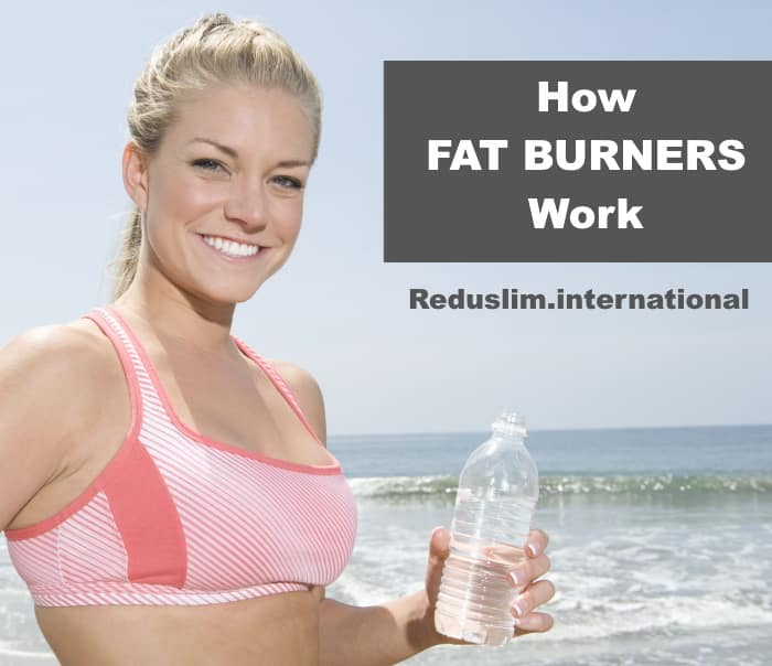 How Fat Burners Work